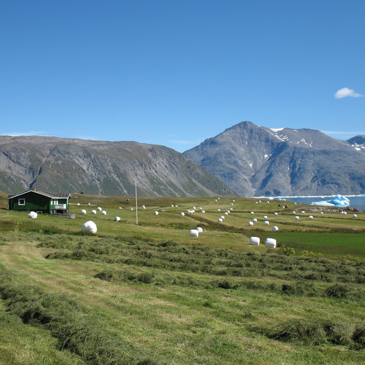 Boerderij Sillisis, Zuid-Groenland